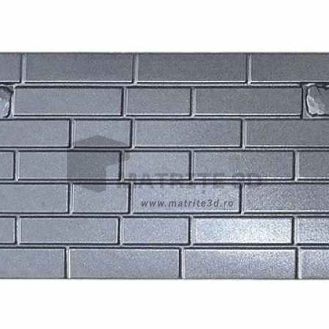 Matrita Gard Beton, ABS HIMPACT, model Rompa, partea din mijloc 200x50 cm