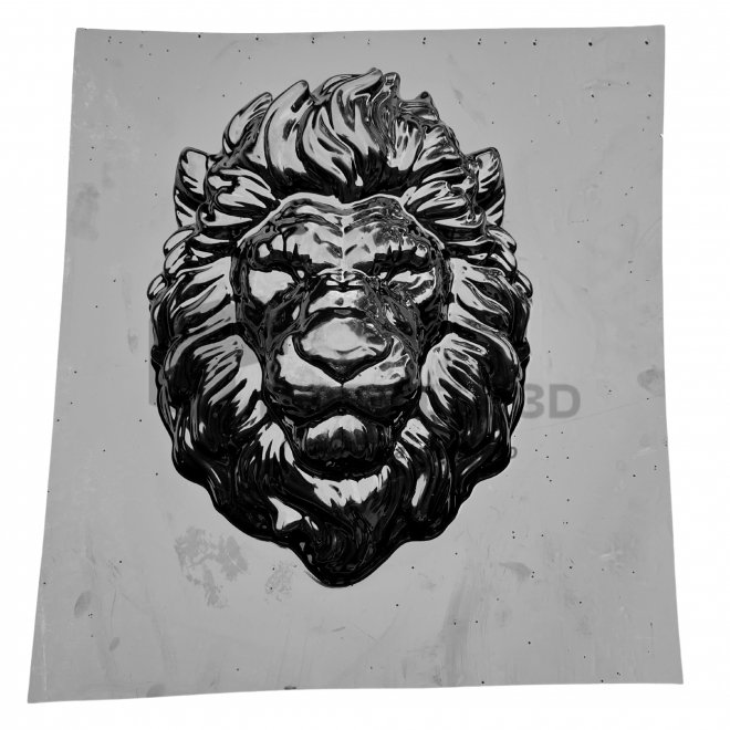 Matrite King of Lions – 50x30x15 cm